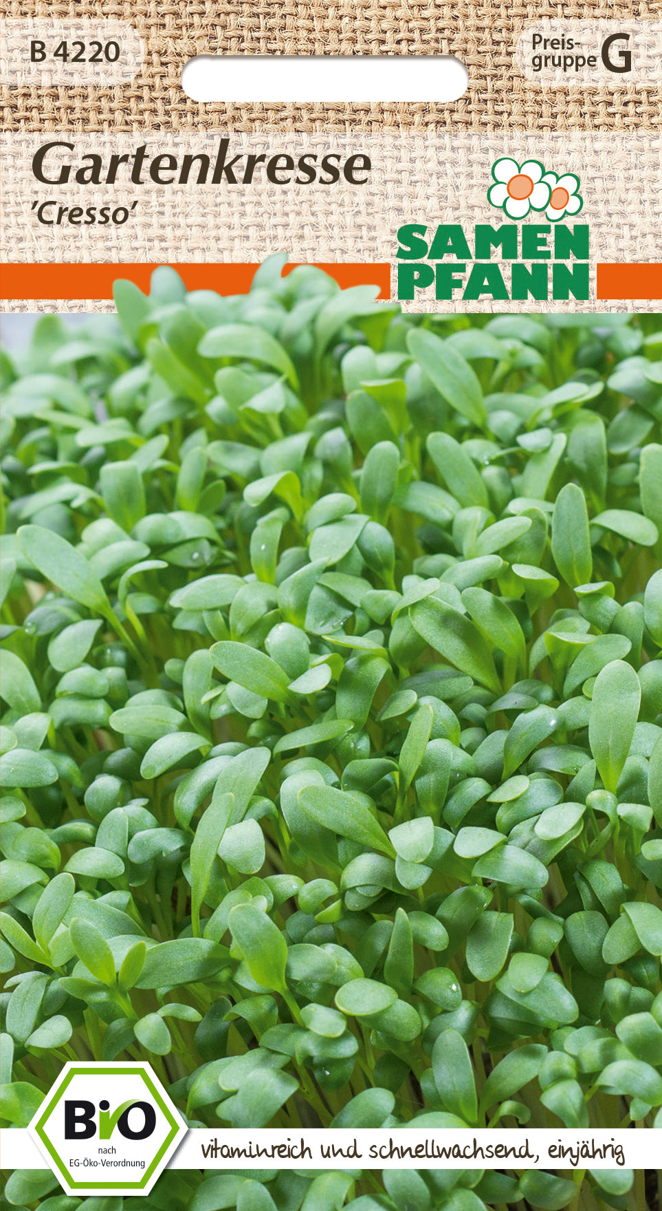 Samen Pfann BIO Gartenkresse Cresso