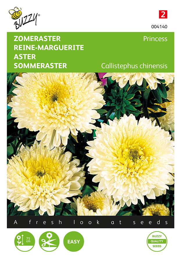Buzzy Seeds Sommeraster Prinzessin
