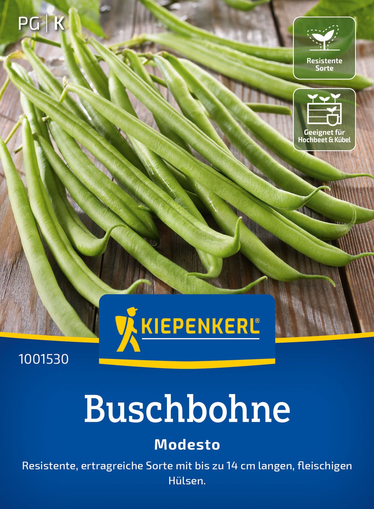 Kiepenkerl Buschbohnen Modesto