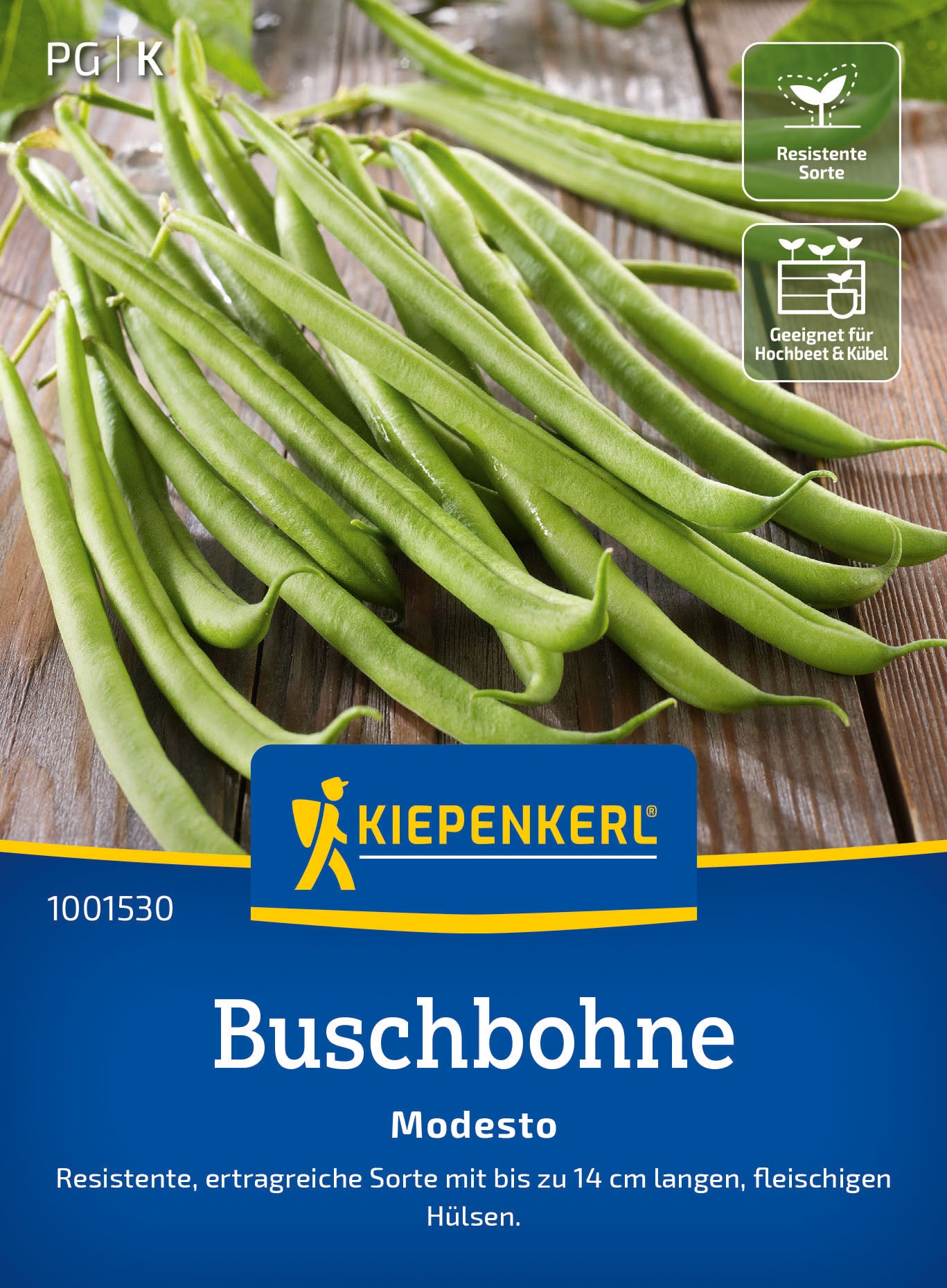 Kiepenkerl Buschbohnen Modesto