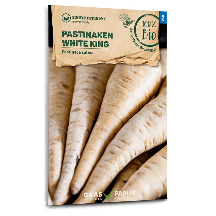 Samen Maier BIO Pastinaken White King