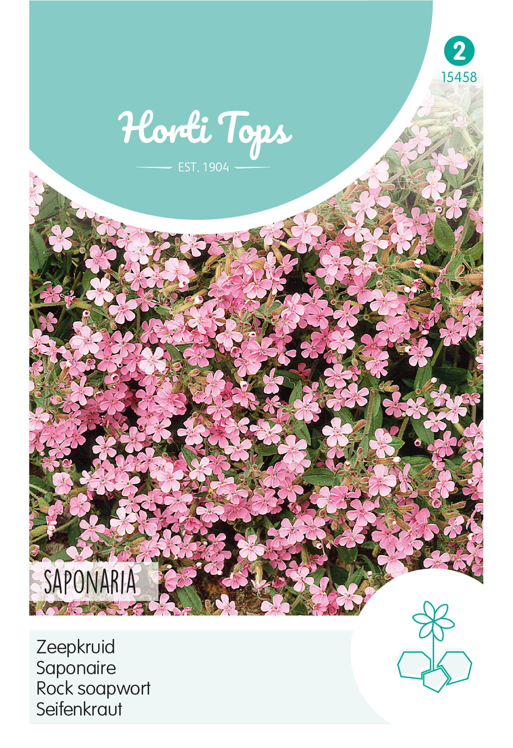 Horti Tops Seifenkraut Ocymoides
