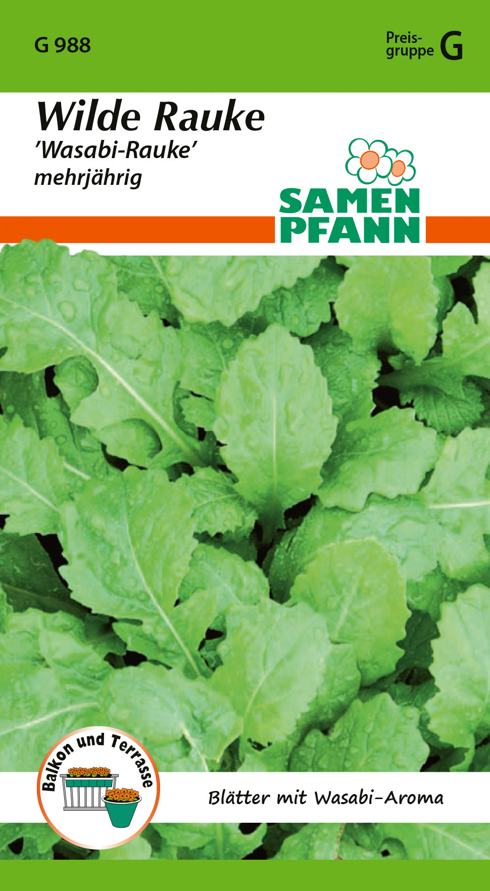 Samen Pfann Wilde Rauke Wasabi-Rauke mehrjährig