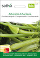 Sativa Zucchetti hellgrün Alberello di Sarzana