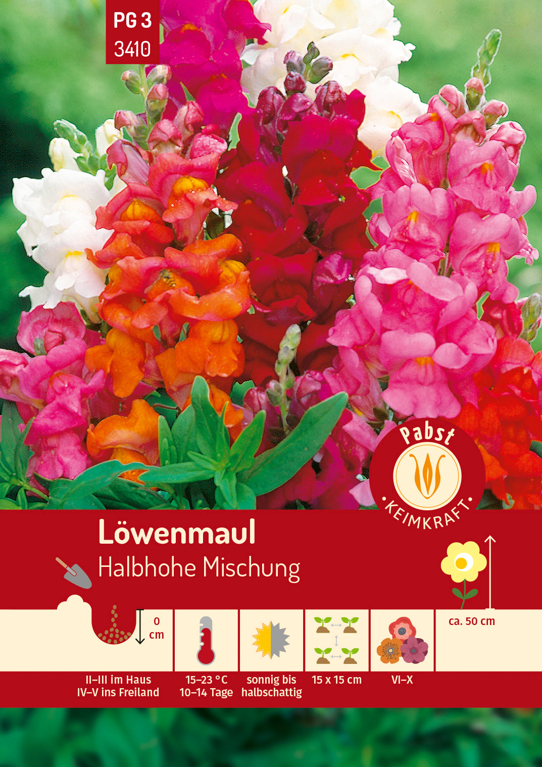 Pabst Keimkraft Löwenmäulchen Halbhohe Mischung