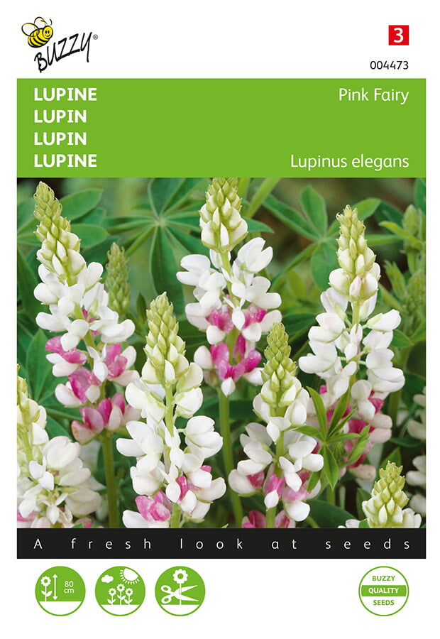Buzzy Seeds Lupinen Pink Fairy