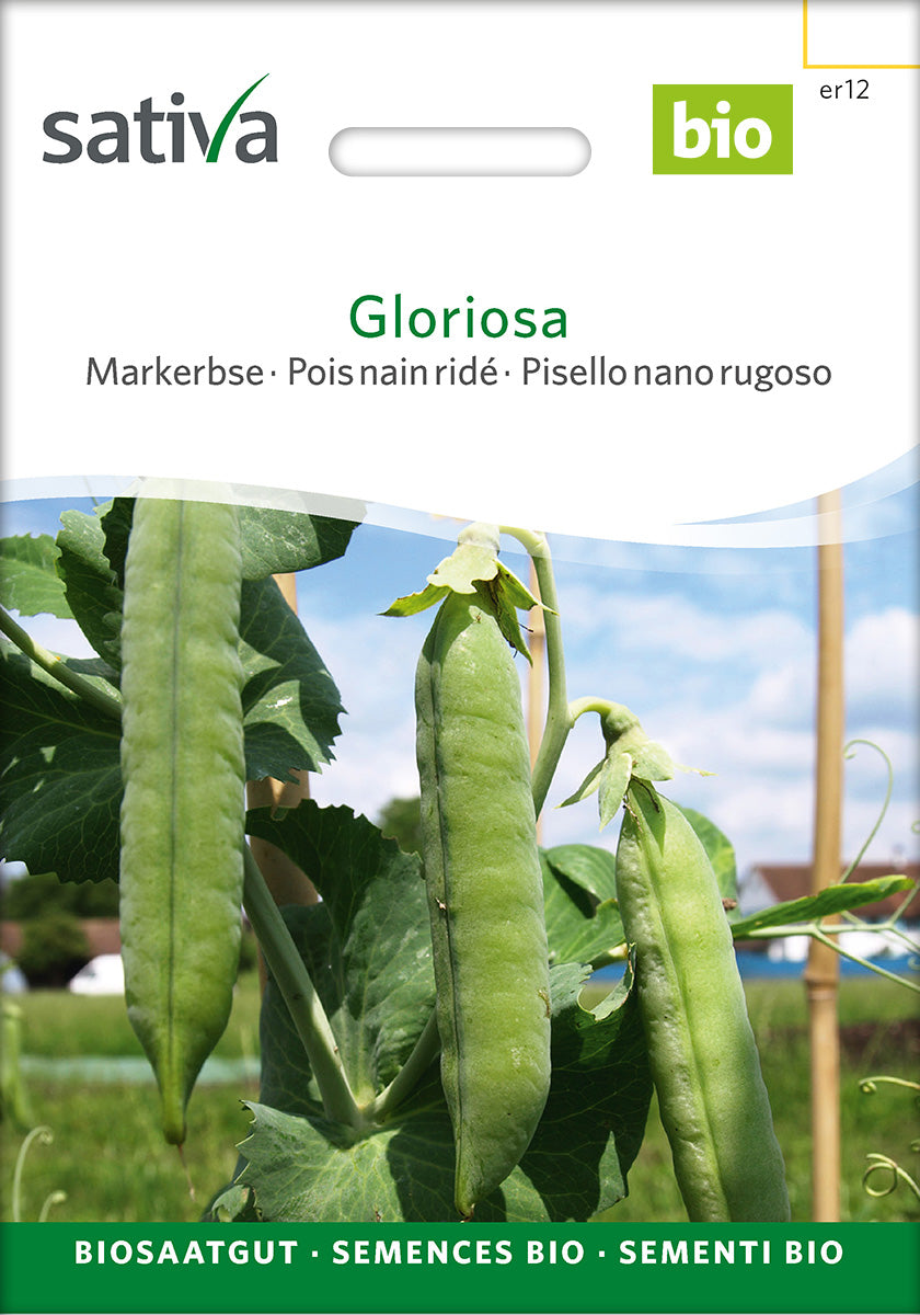Sativa BIO Markerbse Gloriosa