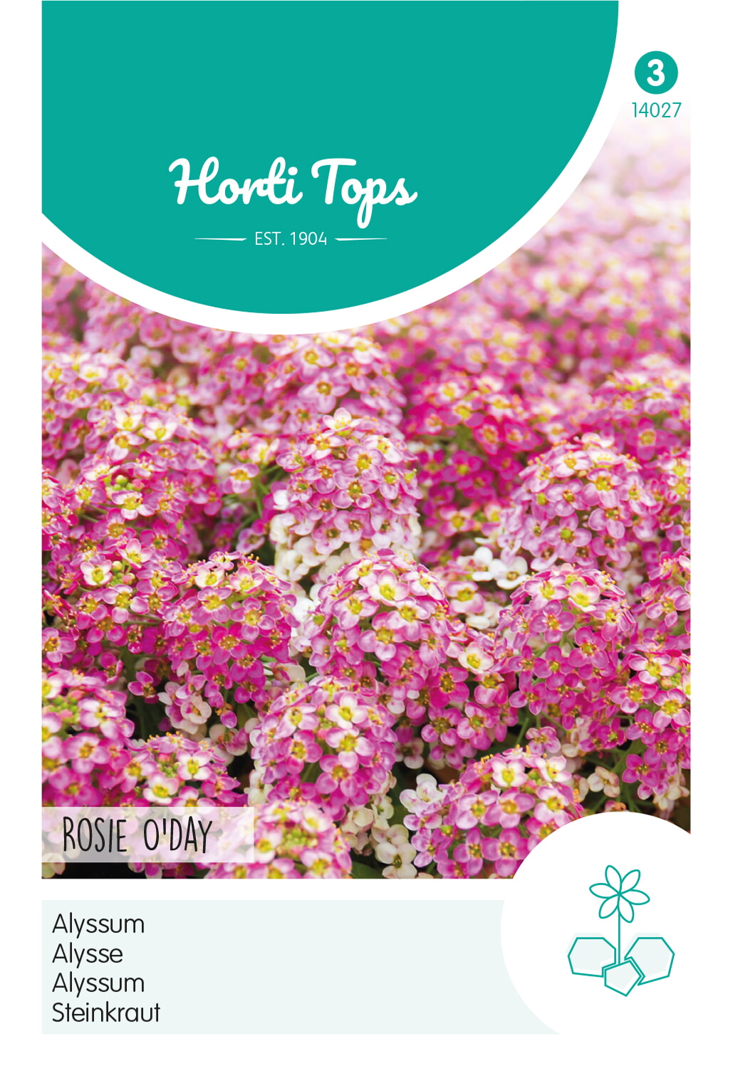 Horti Tops Steinkraut Rosie O'Day