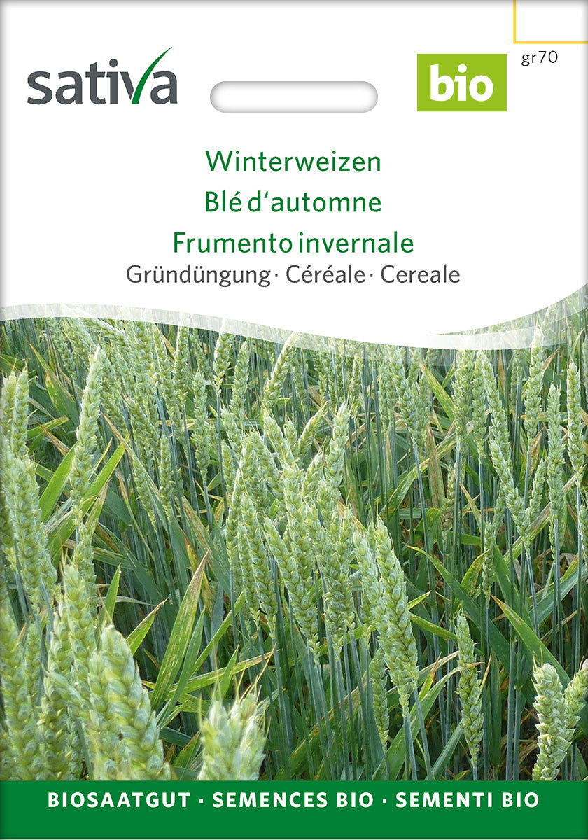 Sativa BIO Gründüngung Winterweizen