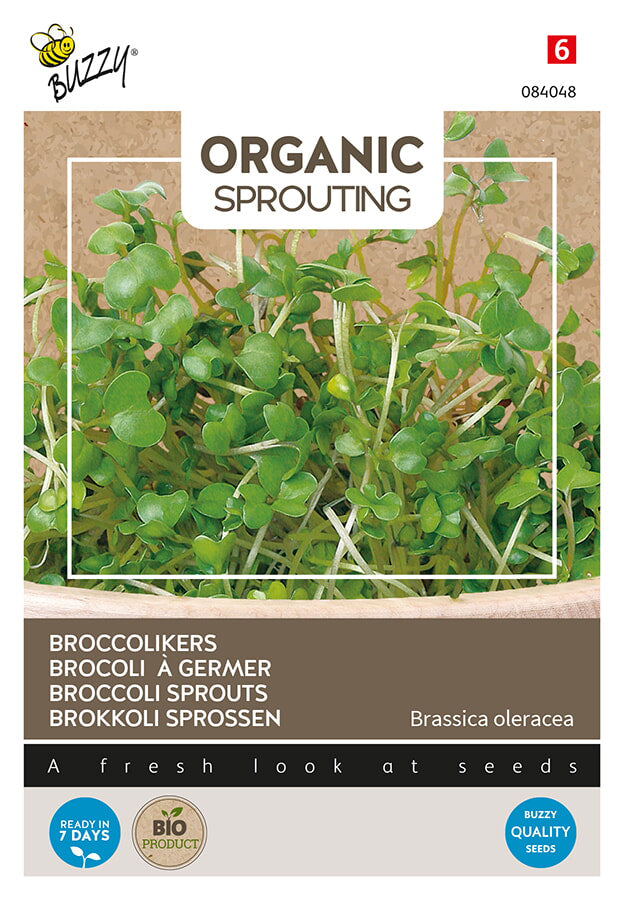 Buzzy Seeds BIO Keimsprossen Brokkoli