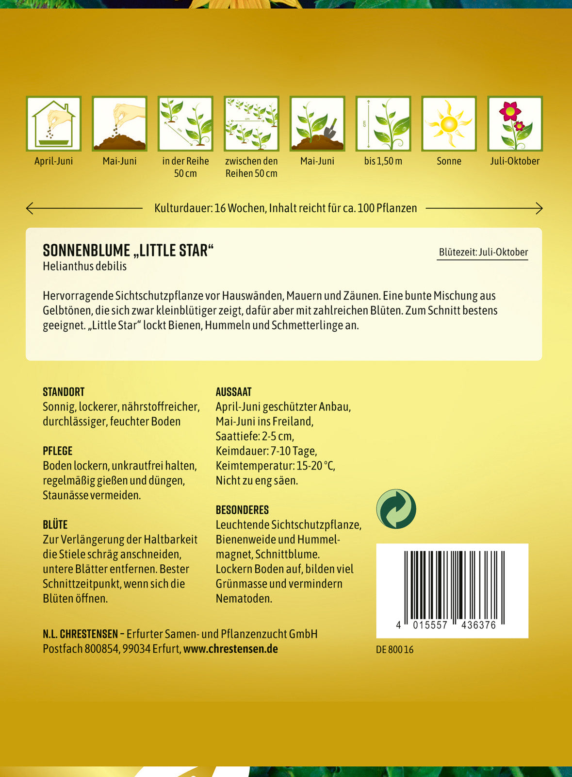 N.L. Chrestensen Sonnenblume Little Star