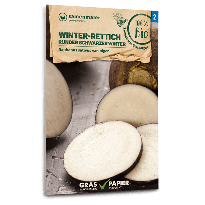Samen Maier BIO Winter-Rettich Runder schwarzer