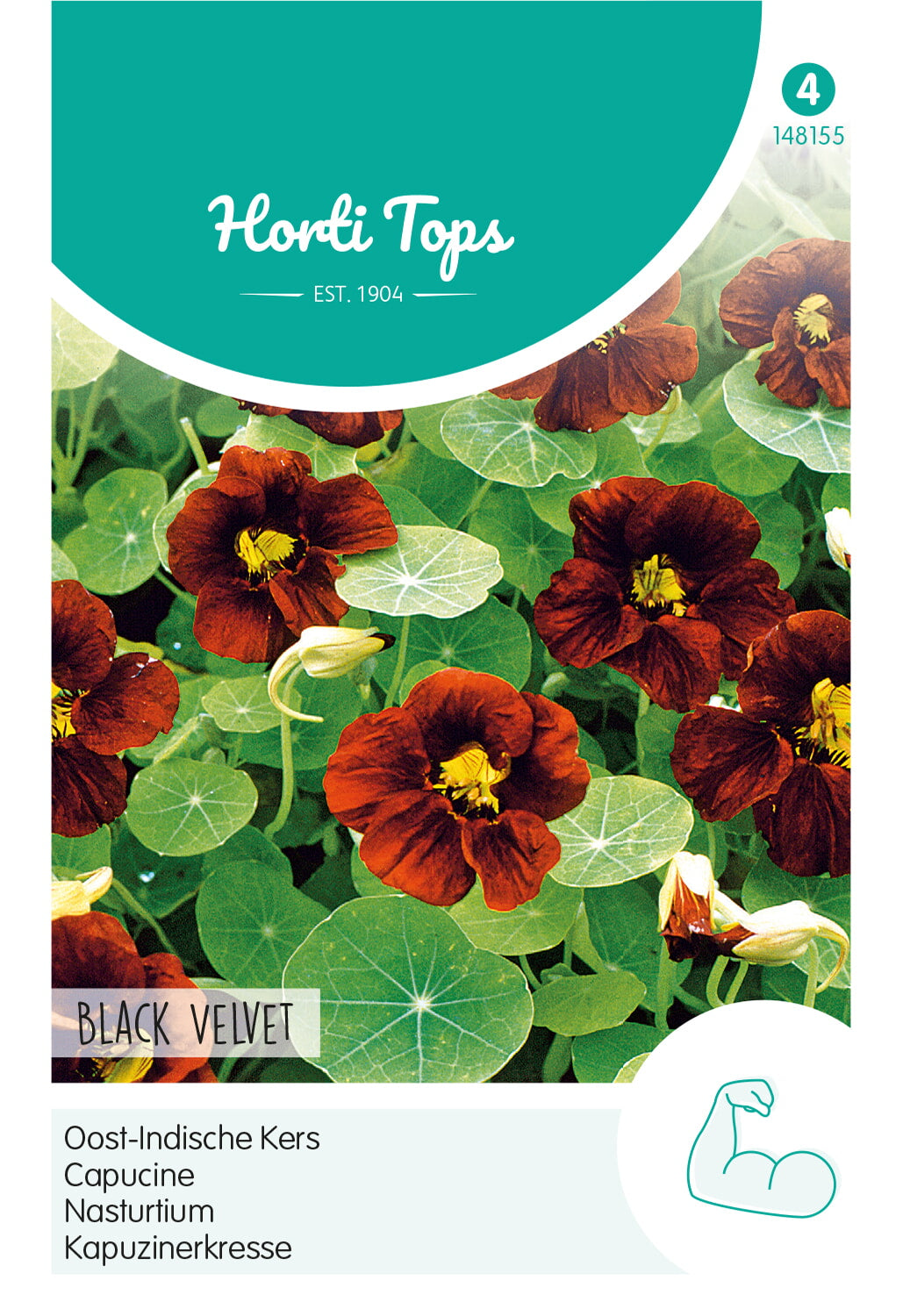 Horti Tops Kapuzinerkresse Black Velvet
