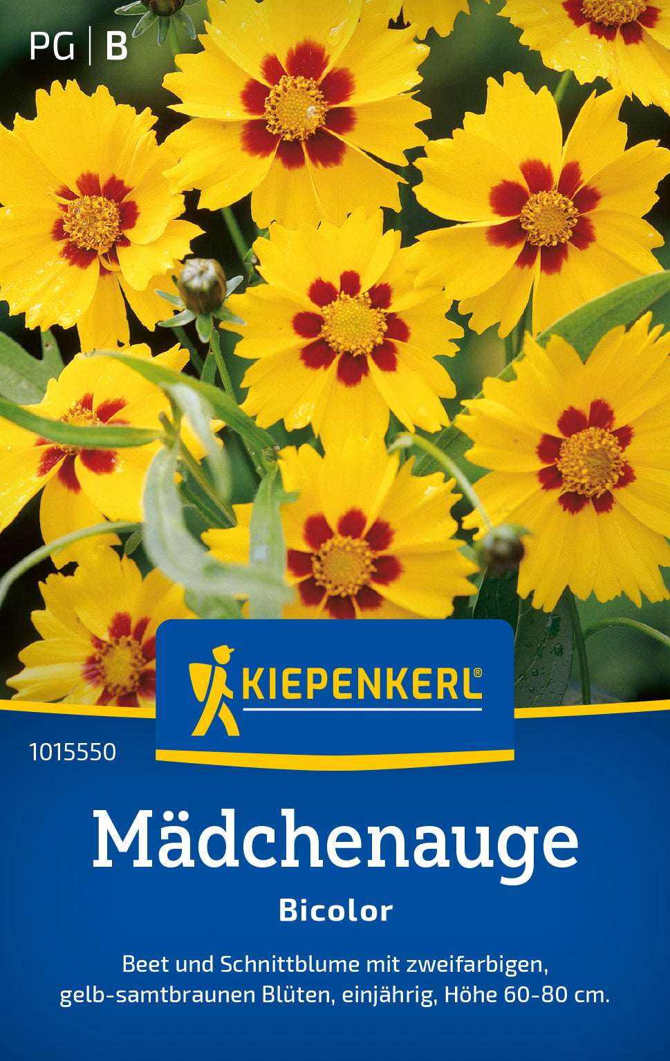 Kiepenkerl Mädchenaugen Bicolor