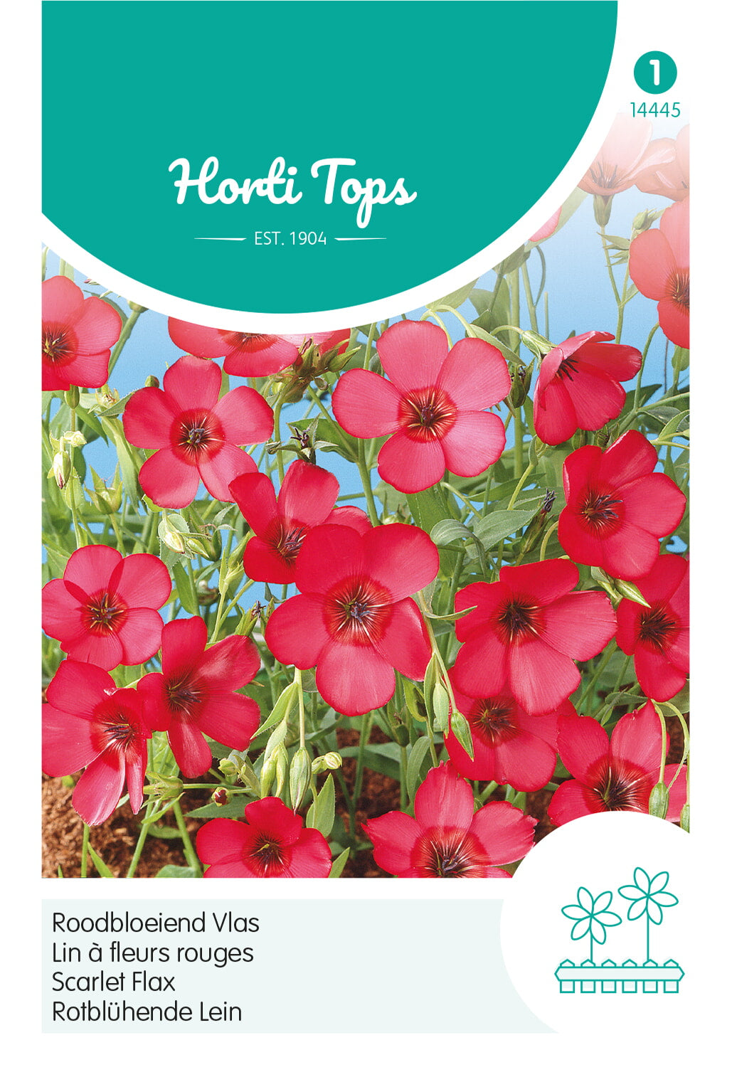 Horti Tops Roter Lein Grandiflorum Rubrum