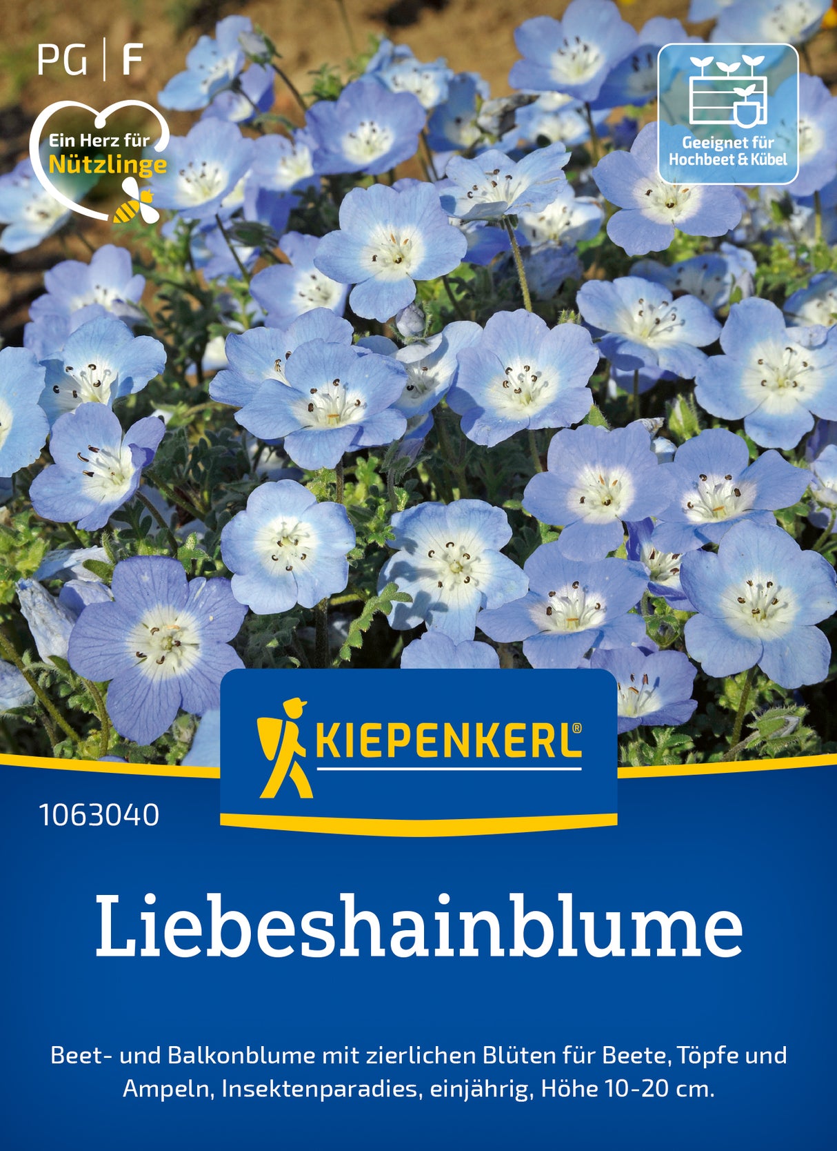 Kiepenkerl Liebeshainblumen Liebeshainblume