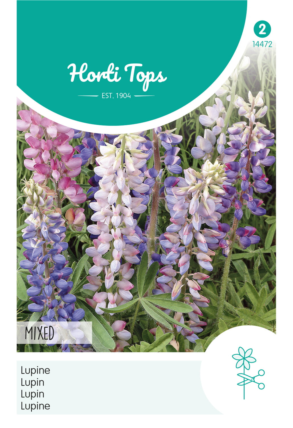 Horti Tops Lupine Hartwegii Einjährige Mischung