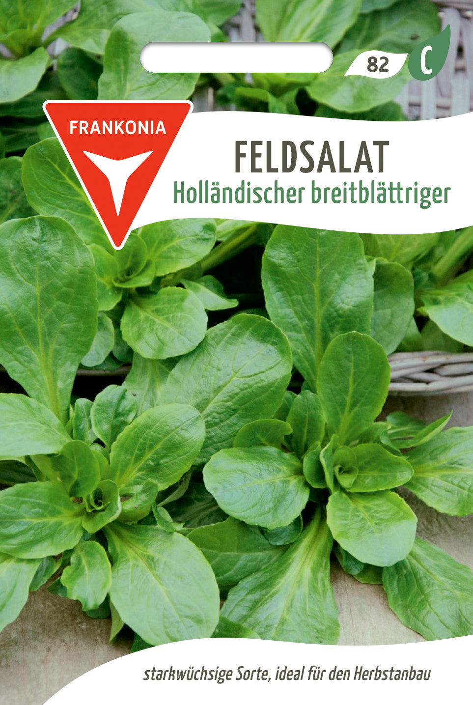 Frankonia Samen Feldsalat Holländischer breitblättriger
