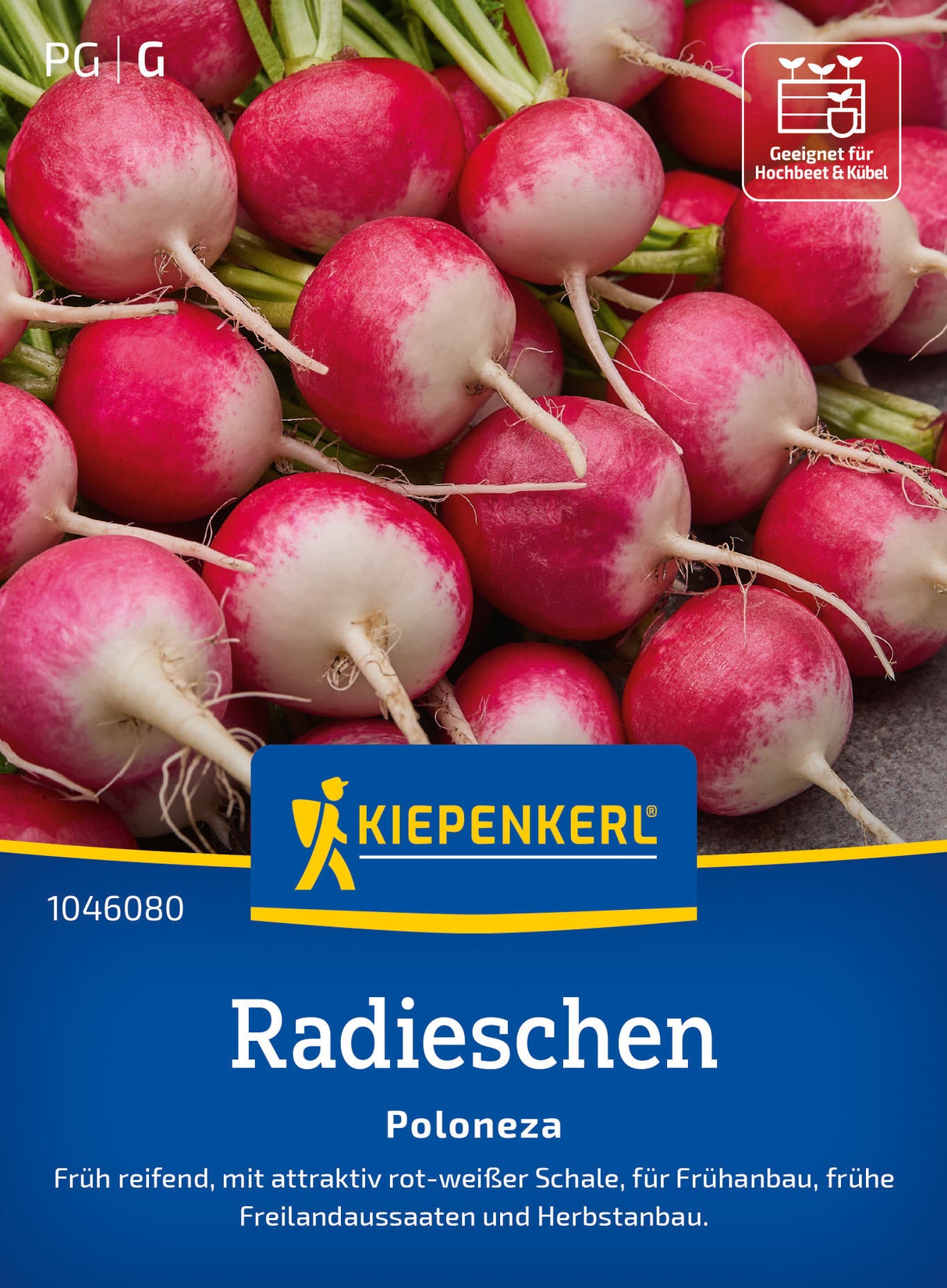 Kiepenkerl Radieschen Poloneza