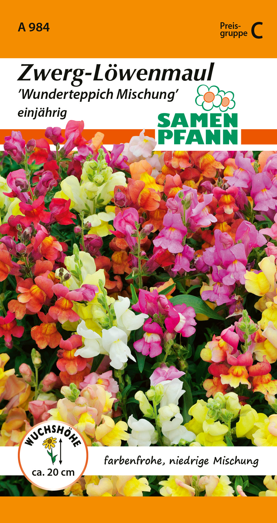 Samen Pfann Wunderteppich Mischung Zwerg-Löwenmaul
