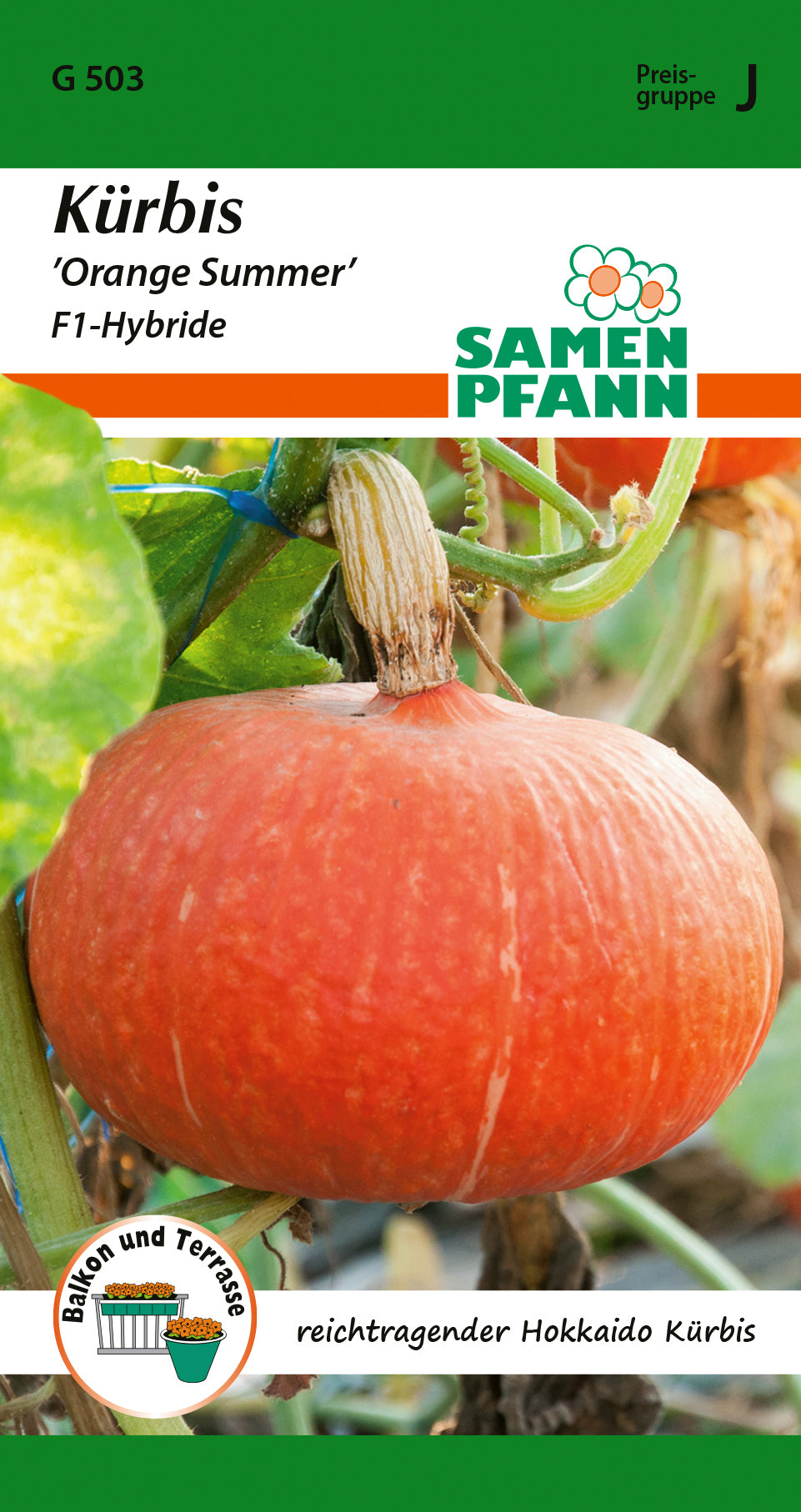 Samen Pfann Kürbis Orange Summer