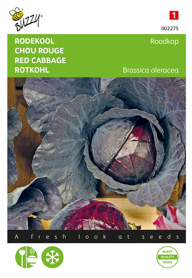 Buzzy Seeds Rotkohl Schwantzkopf