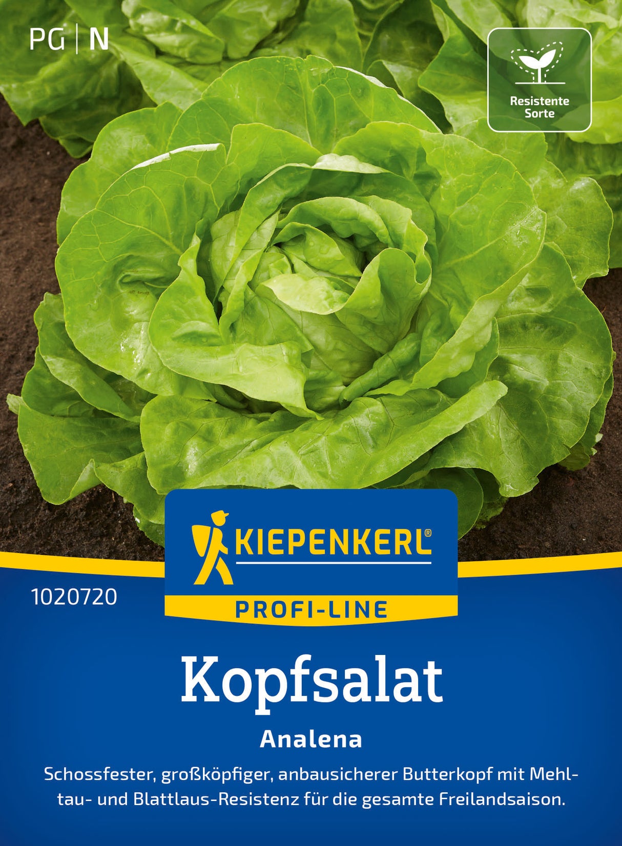 Kiepenkerl Kopfsalat Analena