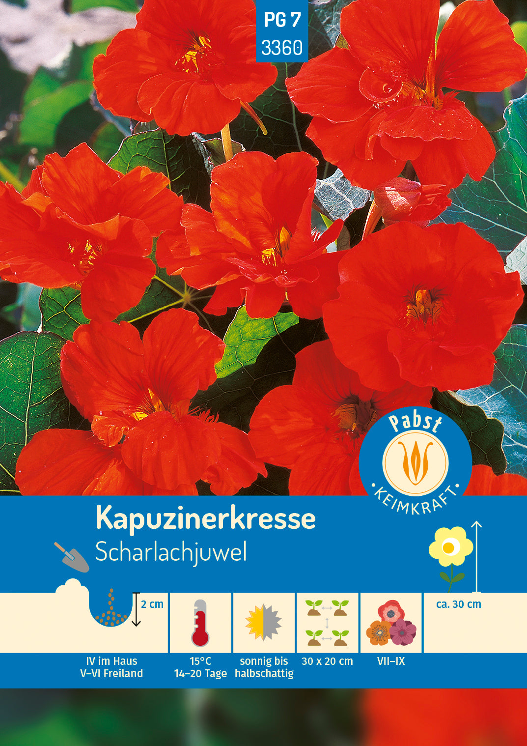 Pabst Keimkraft Kapuzinerkresse Scharlachjuwel