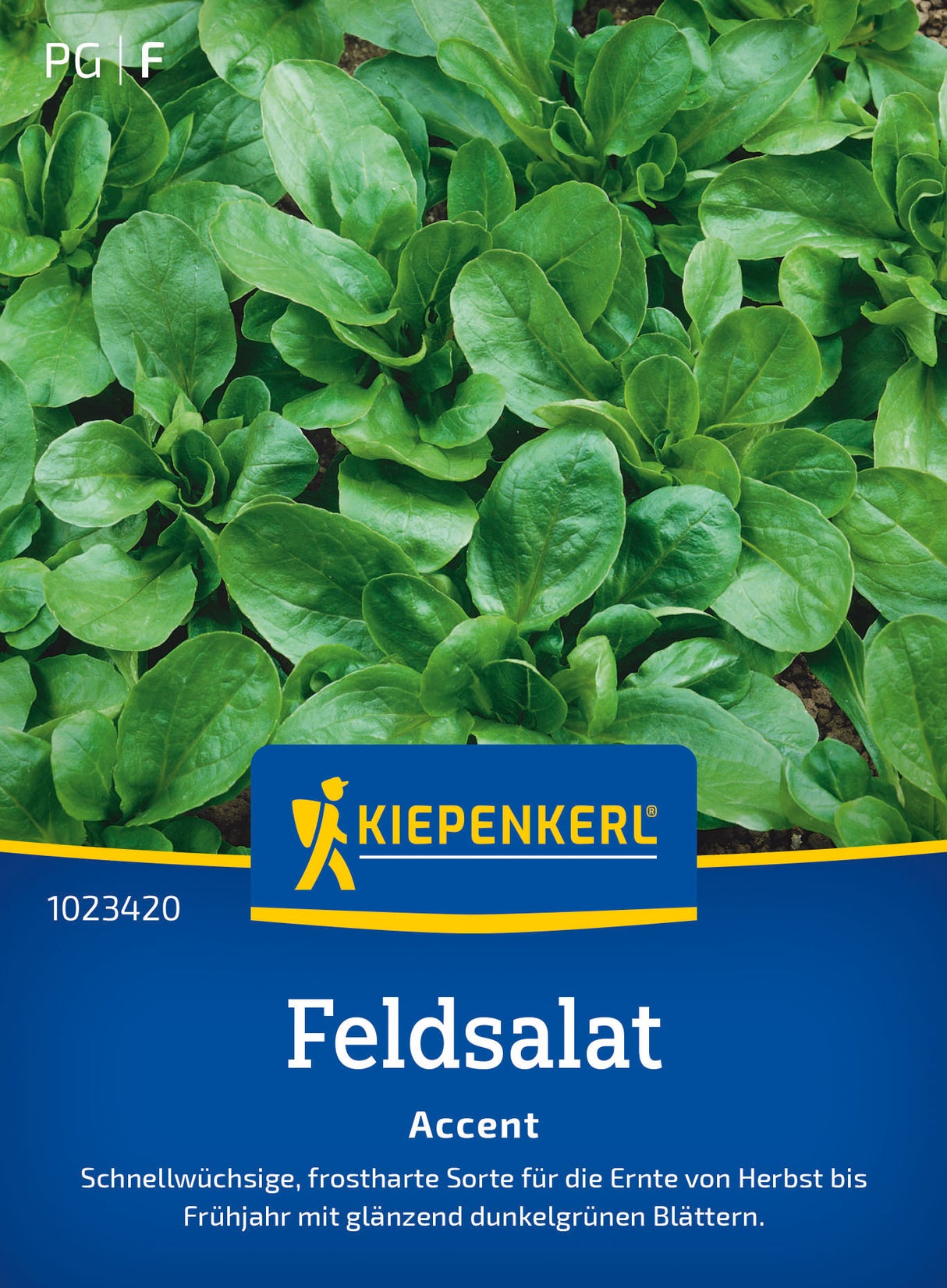 Kiepenkerl Feldsalat Accent