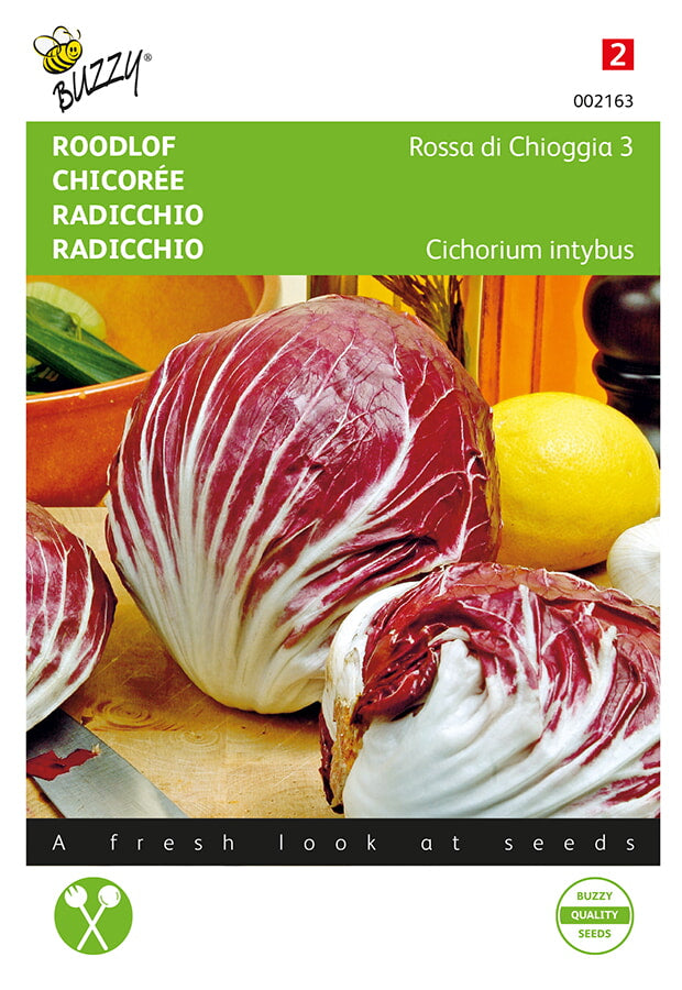 Buzzy Seeds Radicchio Rossa di Chioggia 3