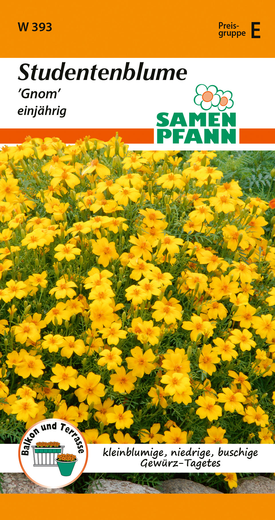 Samen Pfann Studentenblume Gnom einjährig