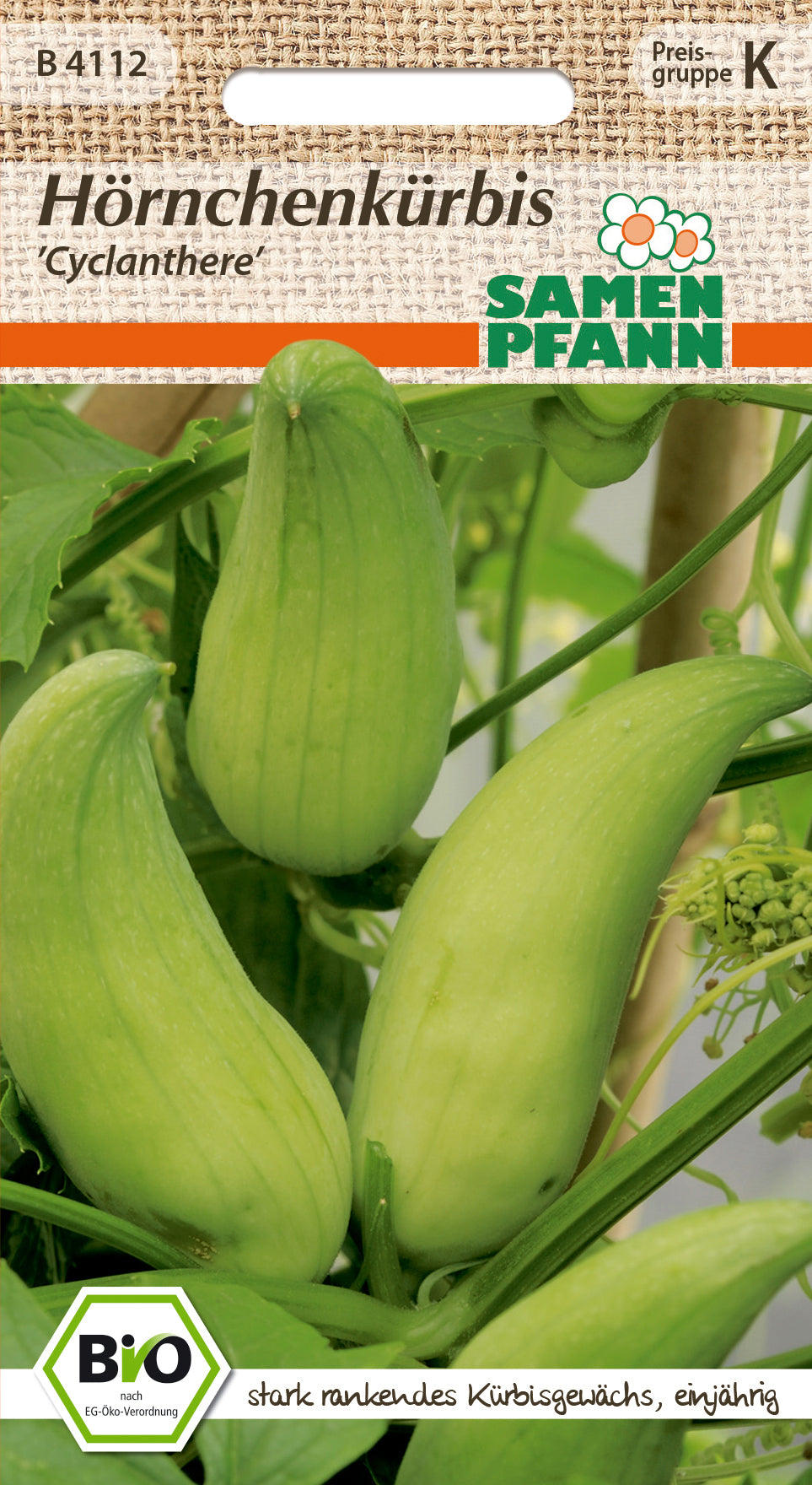 Samen Pfann BIO Hörnchenkürbis Cyclanthere