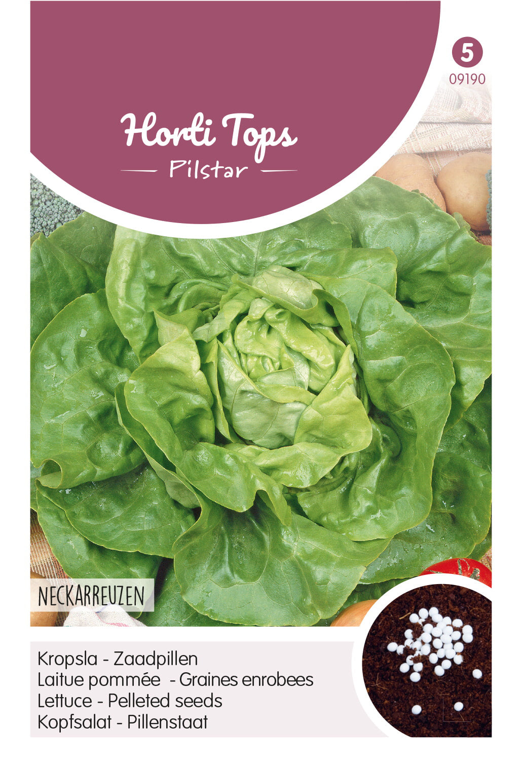 Horti Tops Kopfsalat  Neckarriesen Pillenstaat