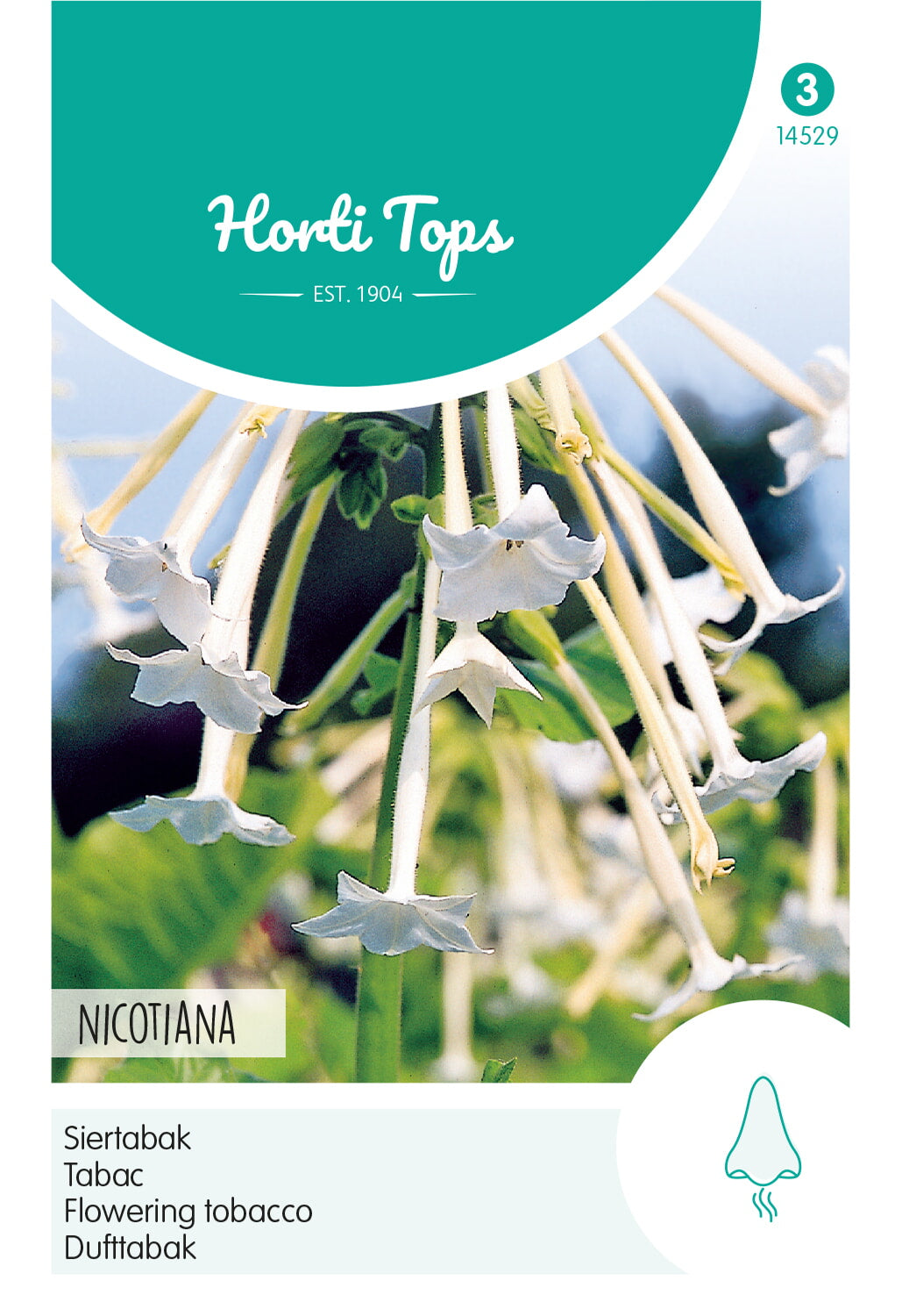 Horti Tops Ziertabak Sylvestris