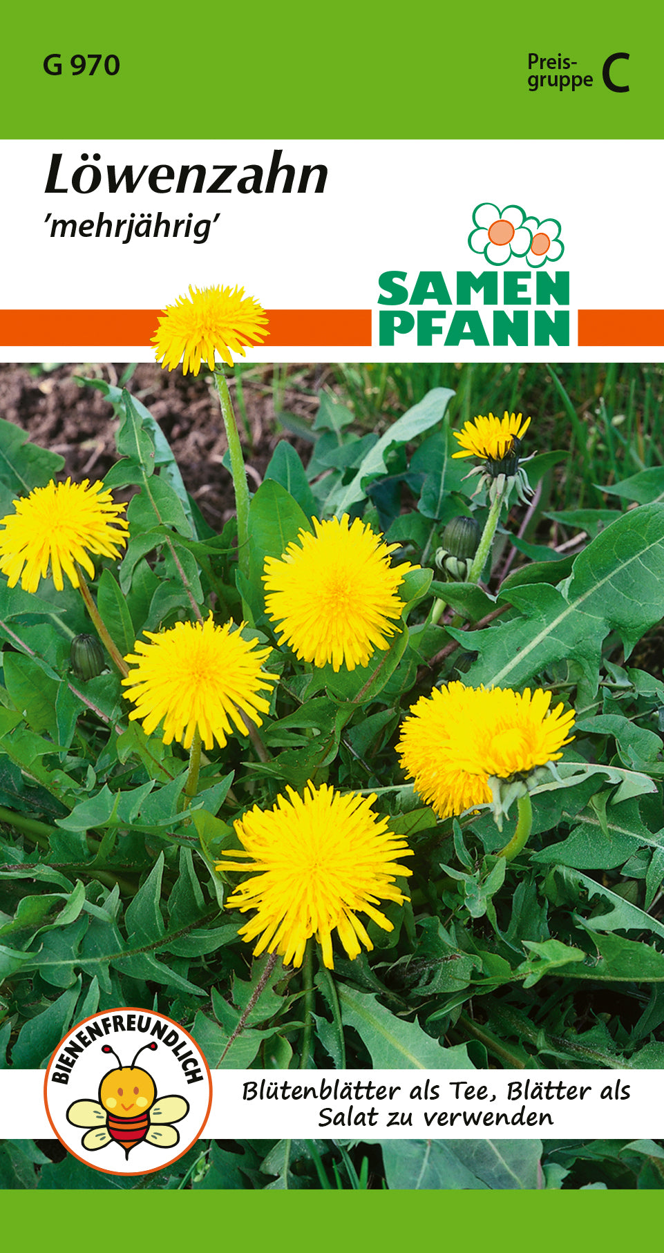 Samen Pfann Löwenzahn Mehrjährig