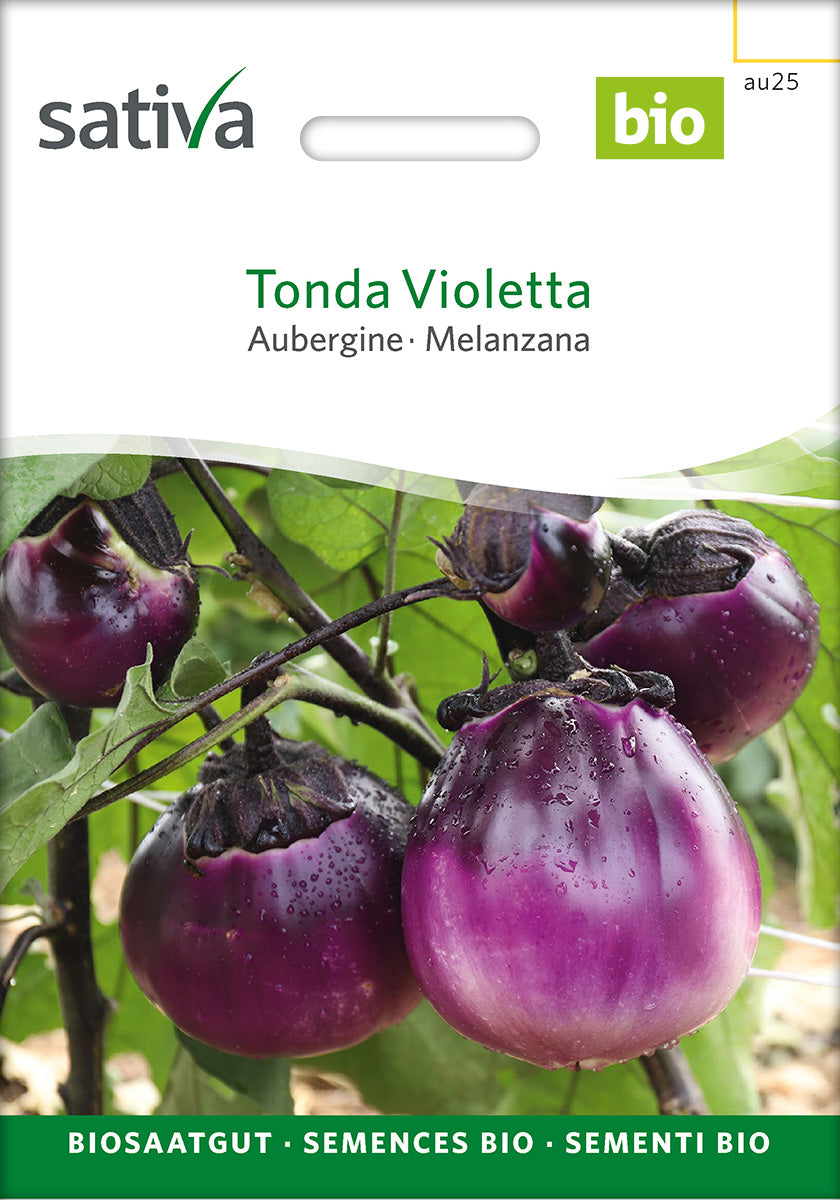 Sativa Aubergine Tonda Violetta