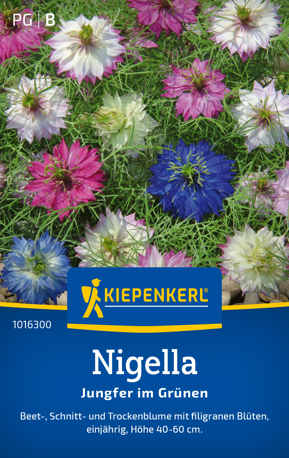 Kiepenkerl Nigella Jungfer im Grünen
