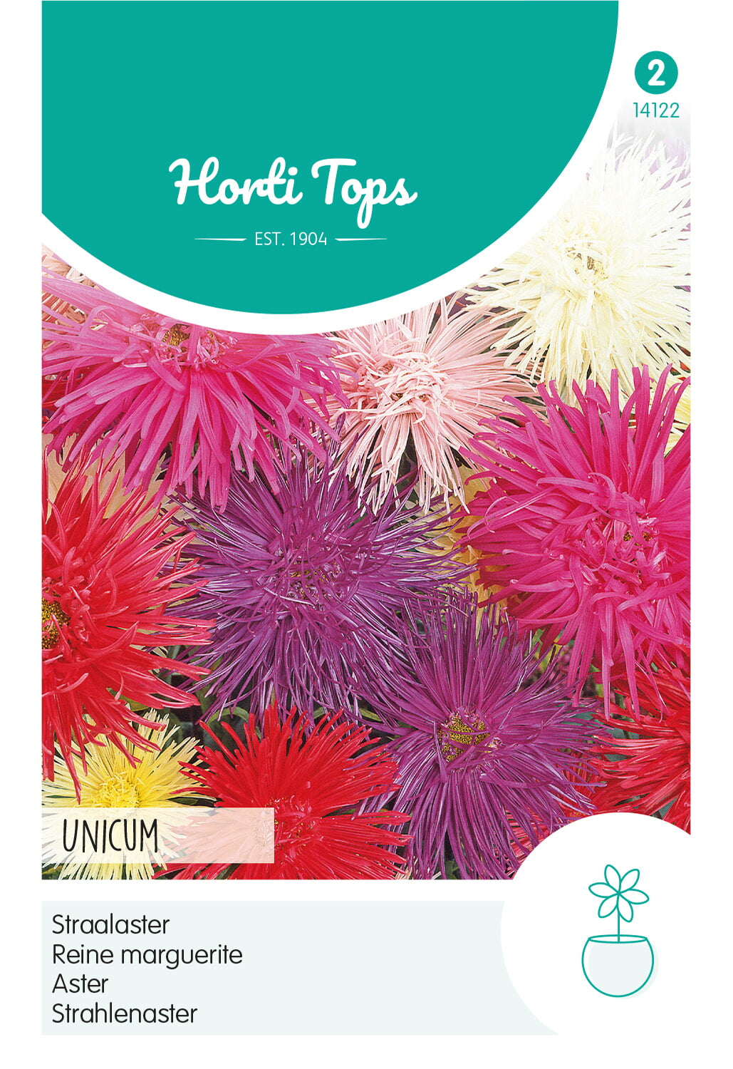 Horti Tops Sommeraster Unikum Mischung