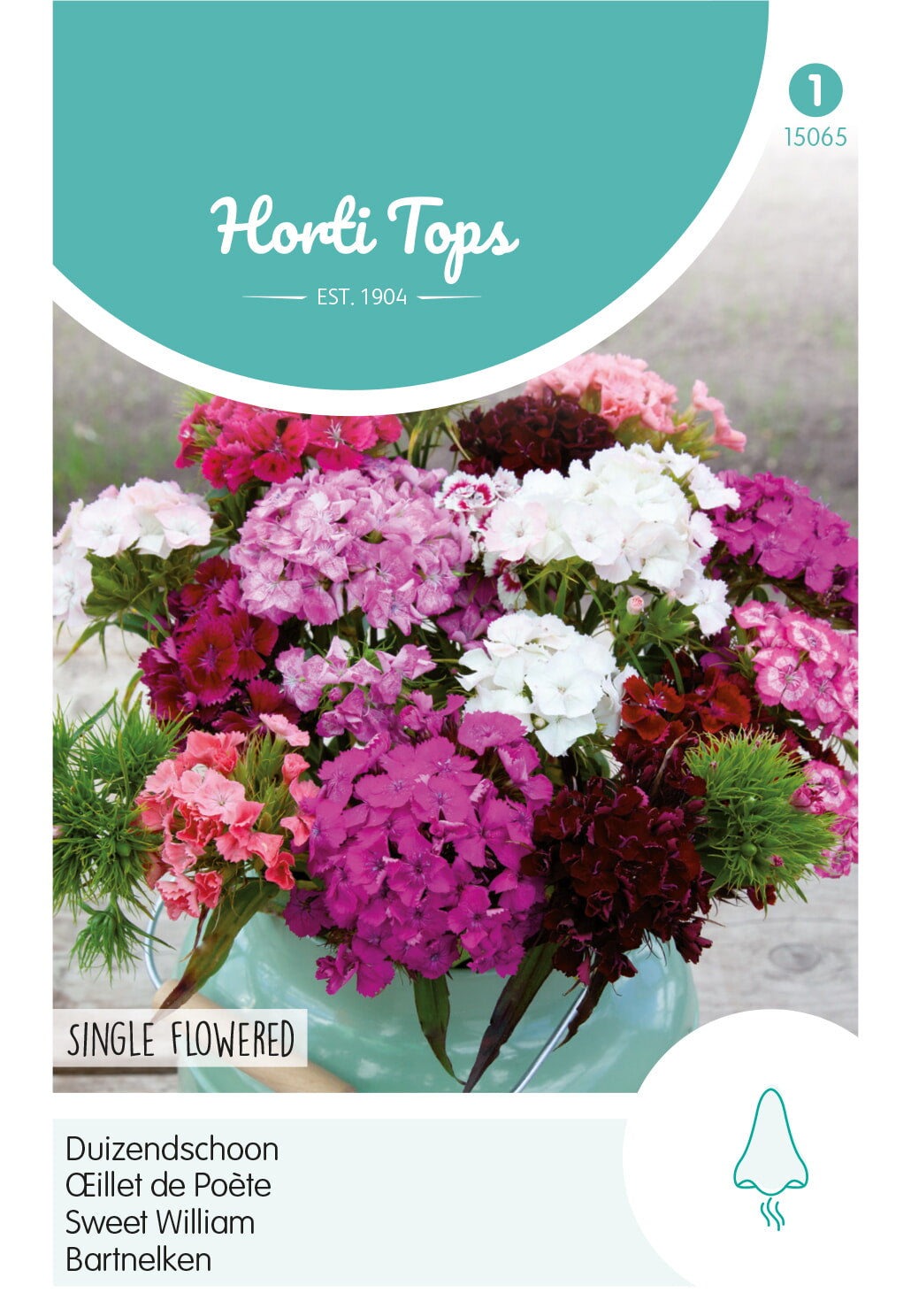 Horti Tops Bartnelke Einfache Mischung