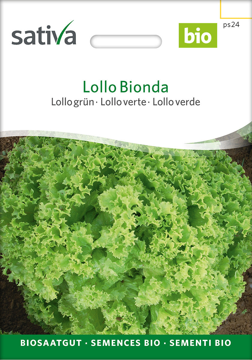 Sativa Lollo grün Lollo Bionda