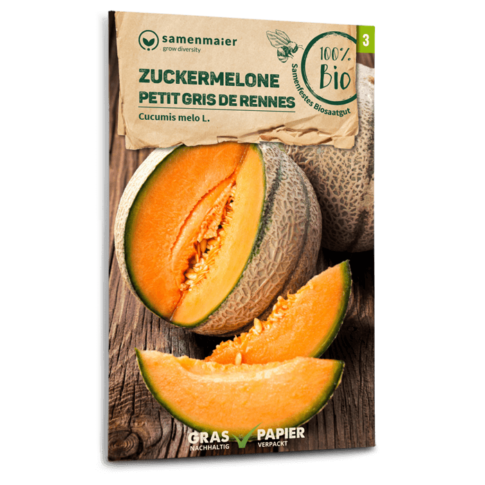 Samen Maier BIO Zuckermelone Petit gris de Rennes