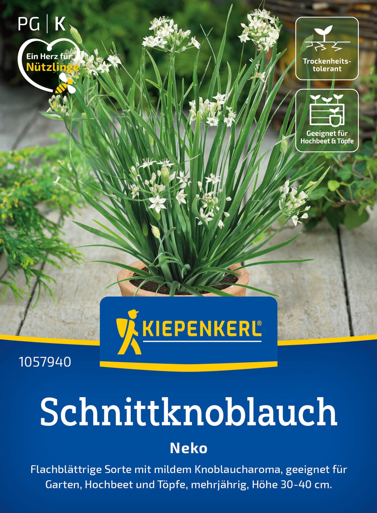 Kiepenkerl Schnittknoblauch Neko
