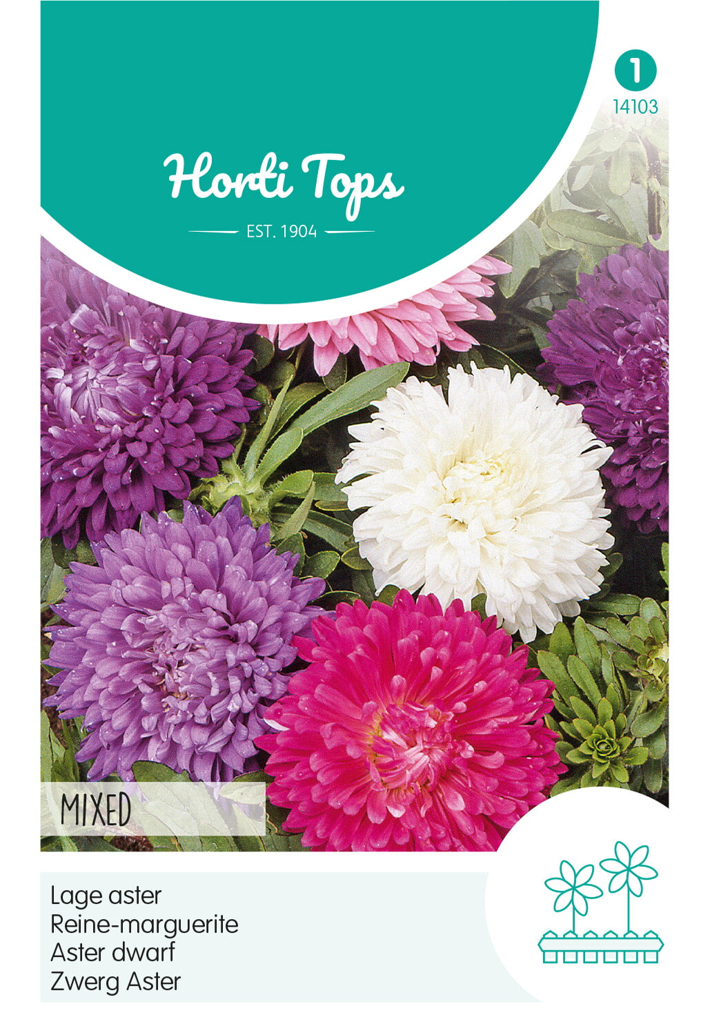 Horti Tops Sommeraster Norddeutsche Gefüllte Zwergmischung
