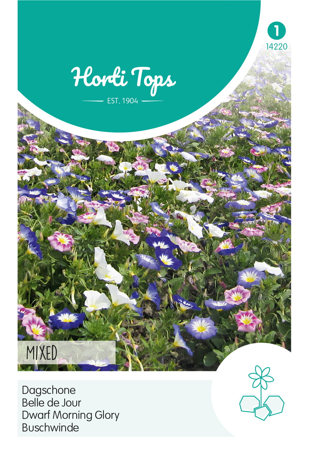 Horti Tops Winde Tricolor Mischung