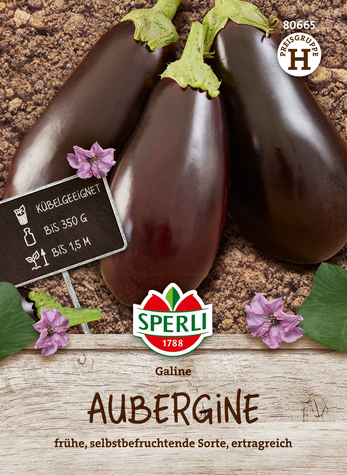 SPERLI Aubergine Galine