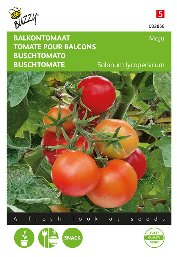Buzzy Seeds Buschtomaten Maja