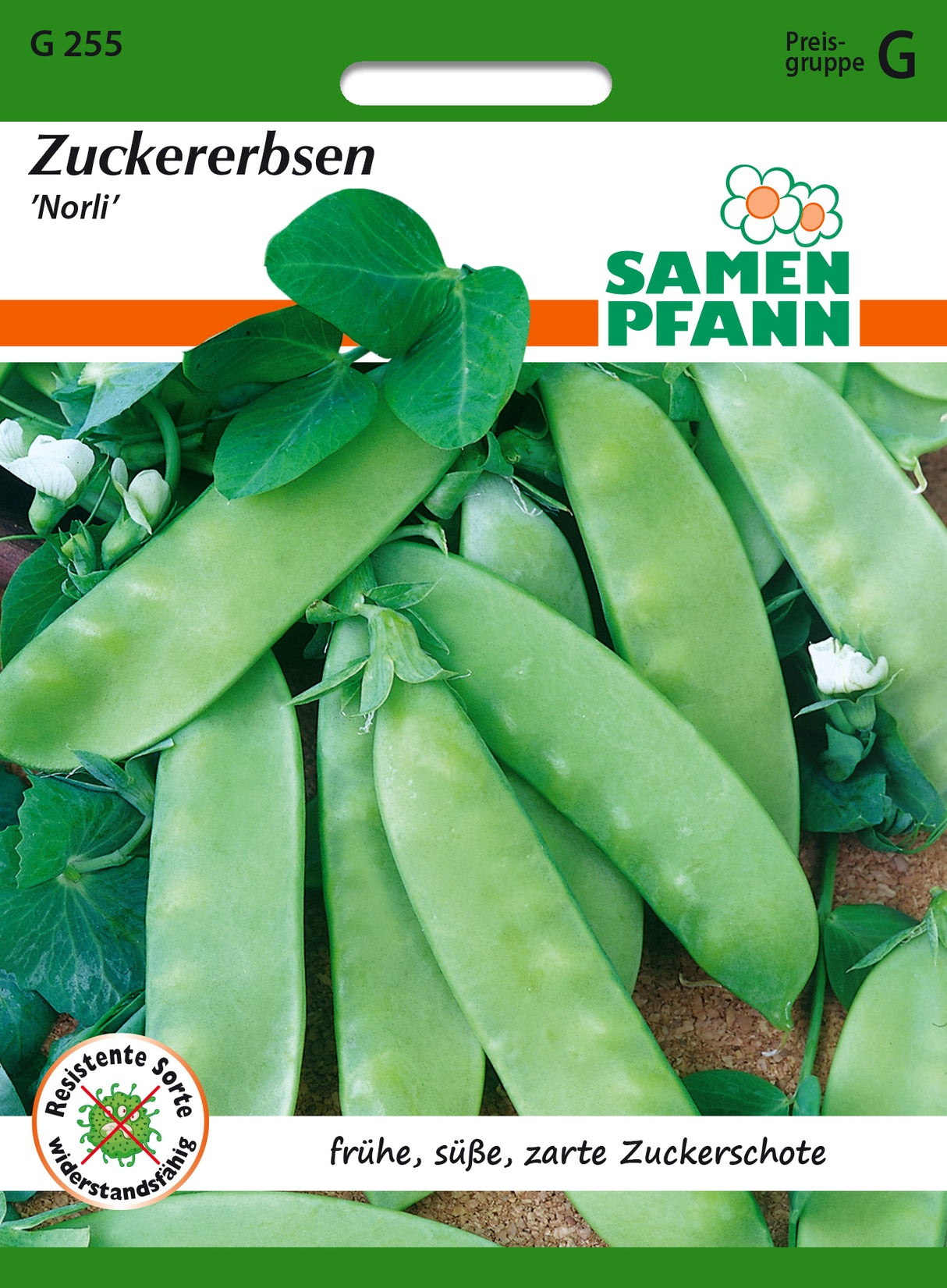 Samen Pfann Zuckererbse Norli