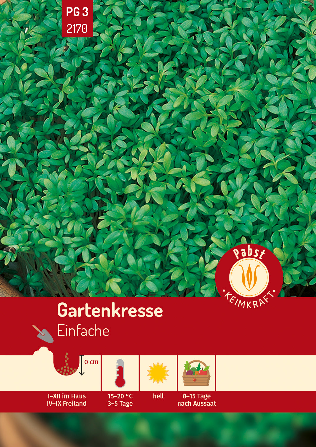 Pabst Keimkraft Gartenkresse Einfache Grüne