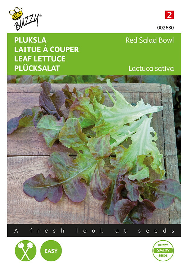 Buzzy Seeds Pflück- & Schnittsalat Eichenblatt rot
