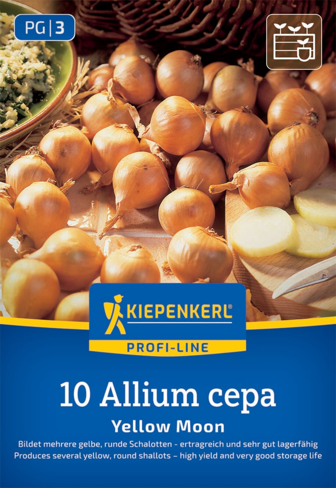 Kiepenkerl Schalotte Yellow Moon 10 Stück